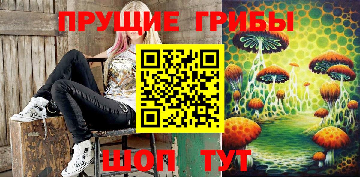 Псилоцибиновые грибы прущие грибы Новозыбков