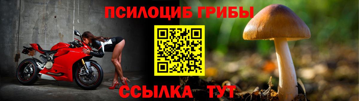 Псилоцибиновые грибы Cubensis  Галлюциногенные грибы MAGIC MUSHROOMS  Новозыбков  Вход с VPN 