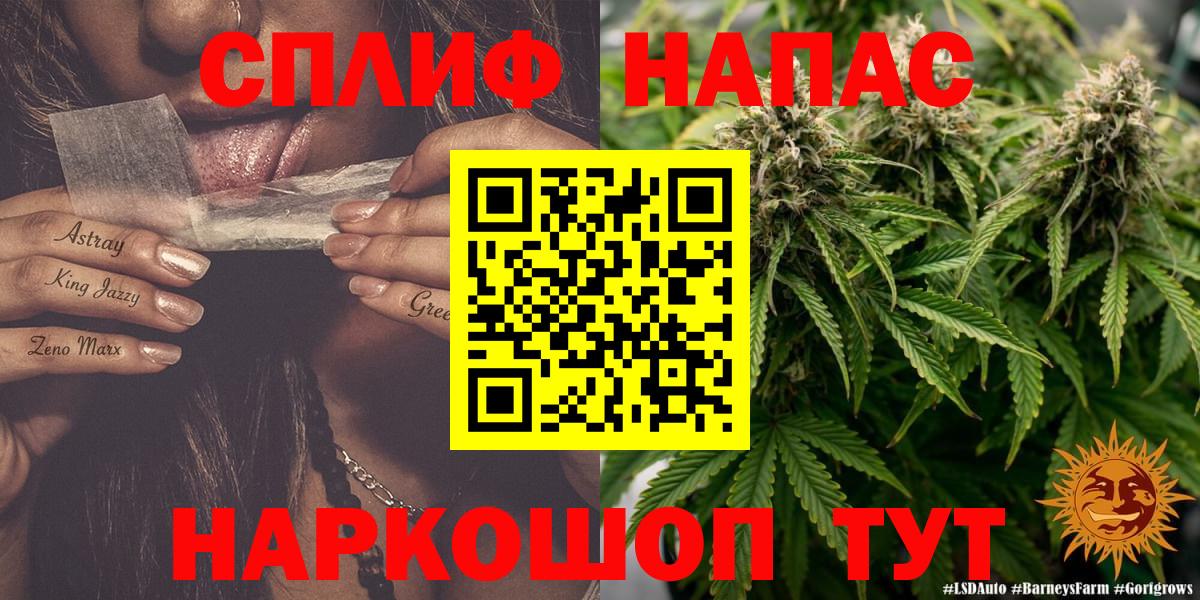 Конопля марихуана Новозыбков